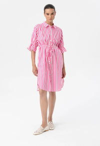 BLACKLIST - Vena Dress (Pink)